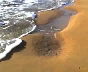 OVER THE RAINBOW/les airs du temps/Adrien Moran