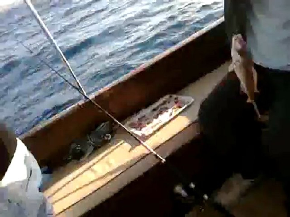28042012080