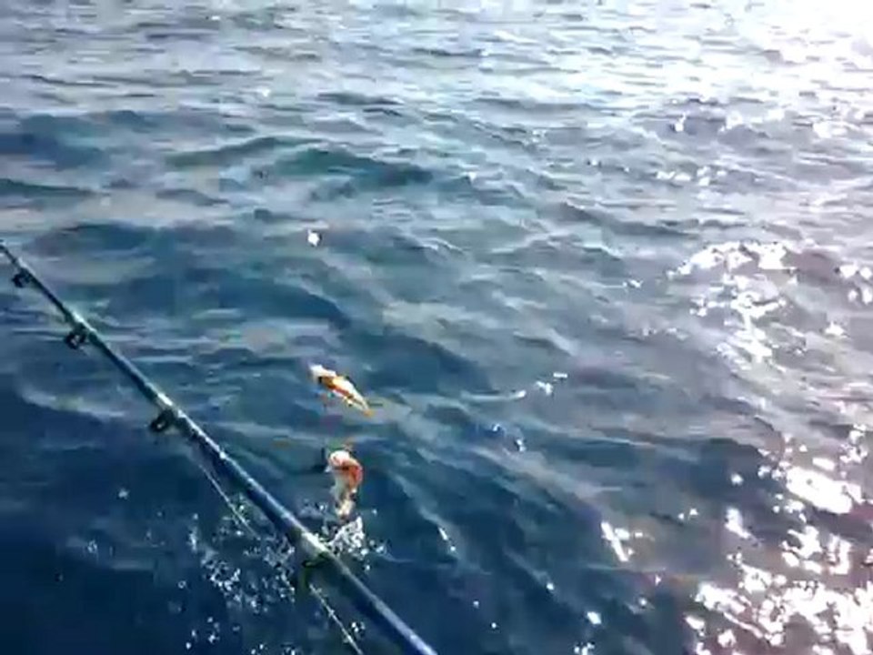 28042012081