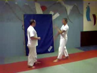ju-jitsu, apprentissage du coup de pied