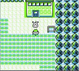 Walkthrough Pokémon Jaune N°9 Captures à gogo!