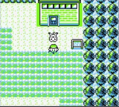 Walkthrough Pokémon Jaune N°9 Captures à gogo!