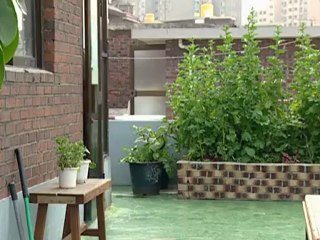 attic_cat_-_08_part_2