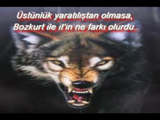 HAZIR OLUN BOZKURTLAR HÜKÜM SIRASI SİZLERİN TUHD