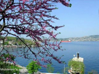 İstanbul'da Erguvan Zamanı 2012