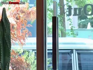 attic_cat_-_13_part_1