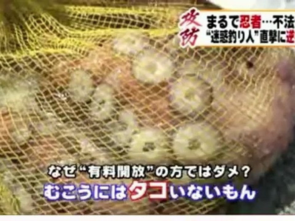まるで忍者...有刺鉄線張るも立ち入り禁止の防波堤に釣り人侵入