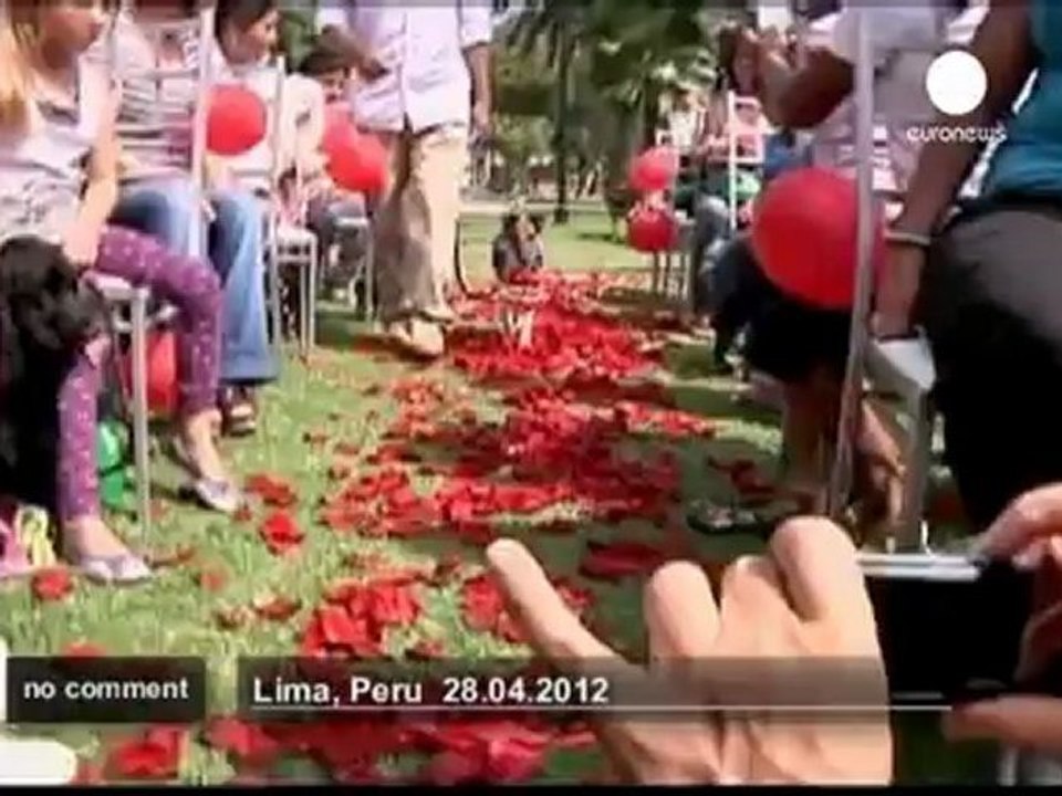 Dog wedding in Peru - no comment