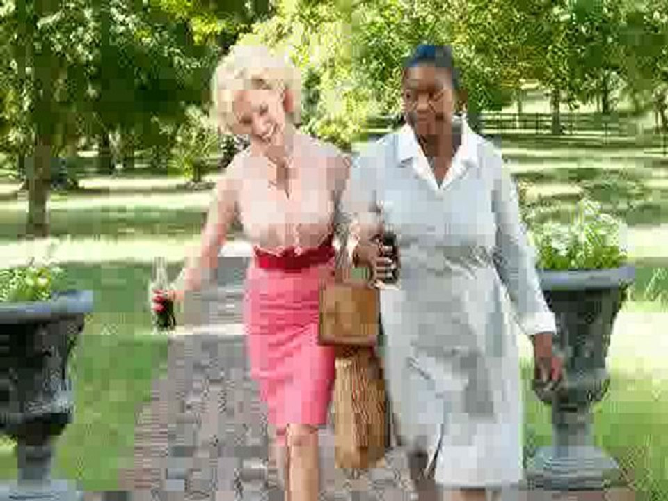 The Help Watch it for Free