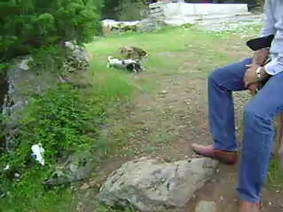 MOV07051