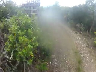 Piste des sangliers 2012