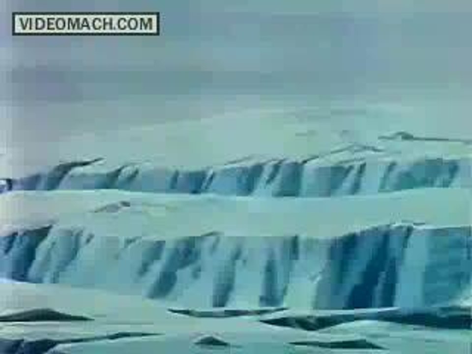 DBZ /L'offensive es cyborgs/