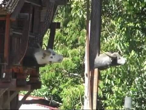 INDONESIE VILLAGES TORAJA