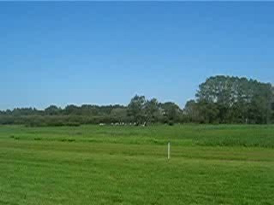 1iere course a Abbeville avec Ondine ...