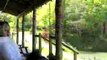 Log Cabin Build: Mars Hill, N.C. Build-iSode 6