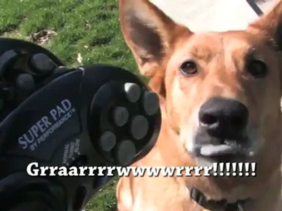 Classic Game Room - SEGA GENESIS SUPER PAD controller review