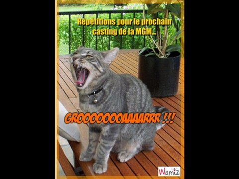 HUMOUR DE CHIENS ET CHATS PAR MIMIE 2159