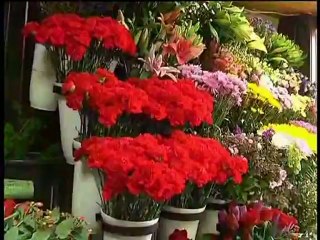 فلسطين هذا الصباح  30-4_chunk_2