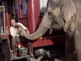 Water for Elephants HD Official Movie 2012