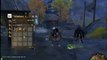 Guild Wars 2 - beta - Diventare una civetta [HD 1080i - fluido]
