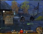 Guild Wars 2 - beta - Diventare una civetta [HD 1080i - fluido]