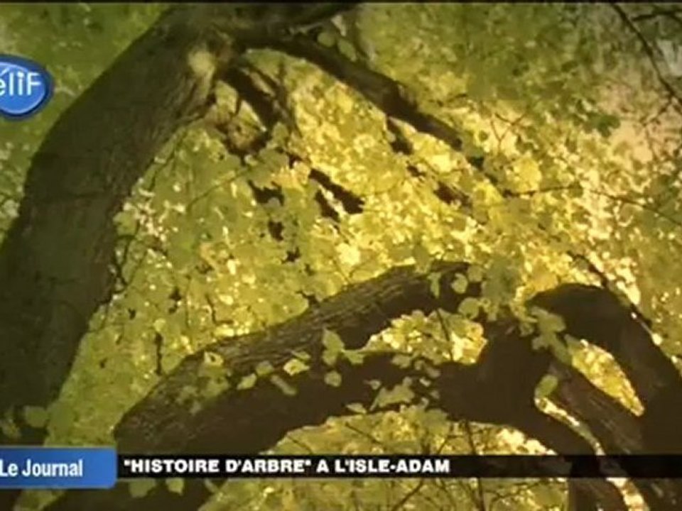 « Histoire d’arbre » à L’Isle-Adam