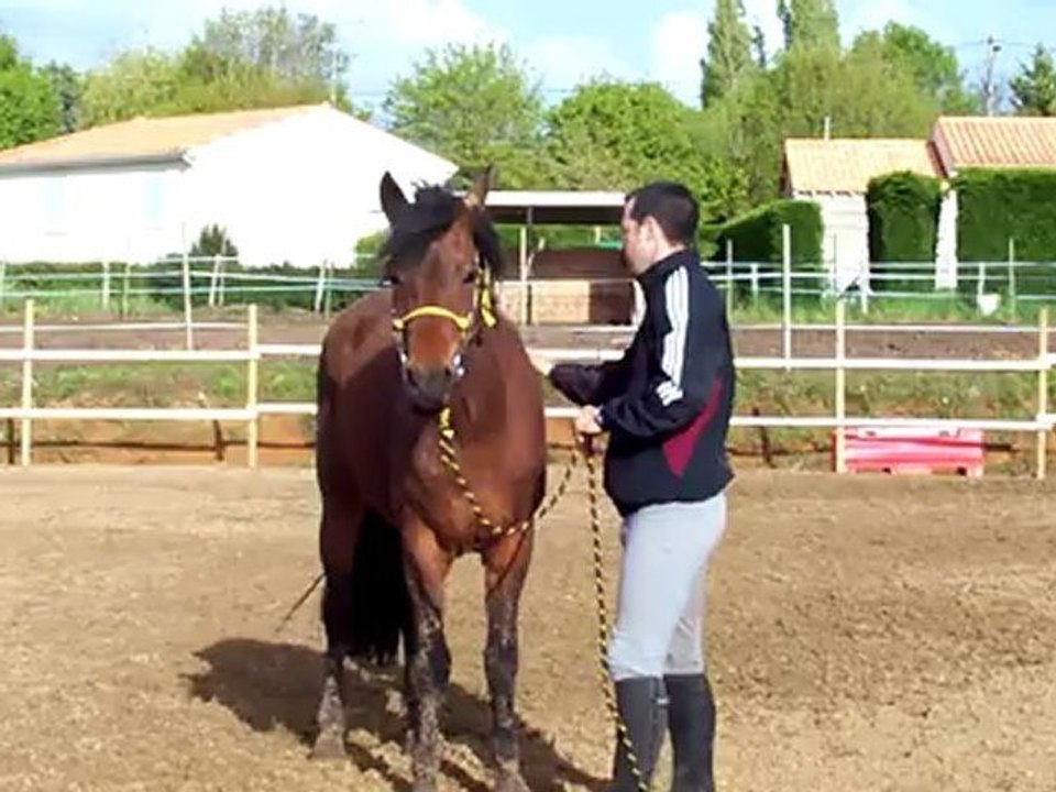 KAMIE accepte le mors