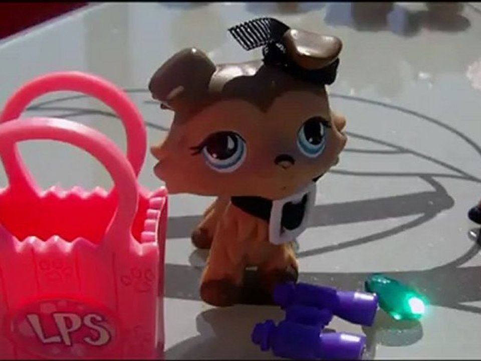 Petshop Le mariage de Kattell et Chien