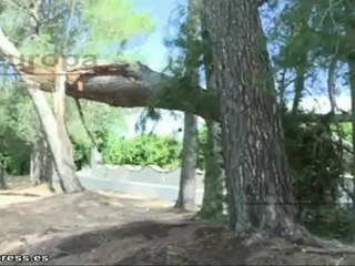 Herida leve y múltiples destrozos por un tornado