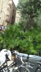 Salsa en santa eulalia, Barcelona 2012 (2)