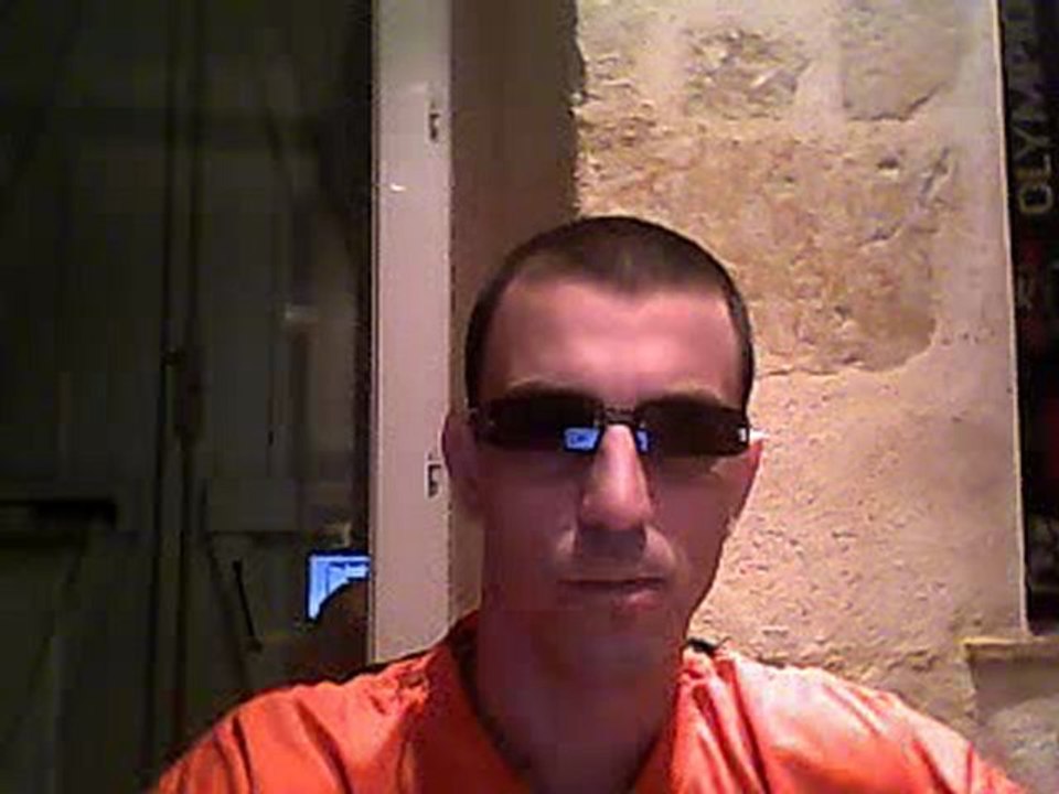 la disparition des abeilles