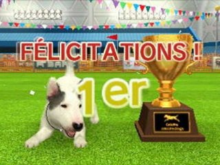 bULL TERRIER