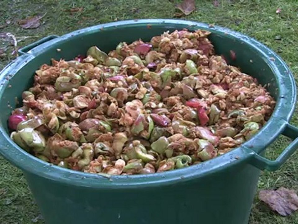 Des Pommes et des Chevêches
