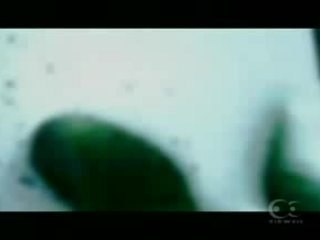 PV。雅–miyavi–×自分革命-2003-