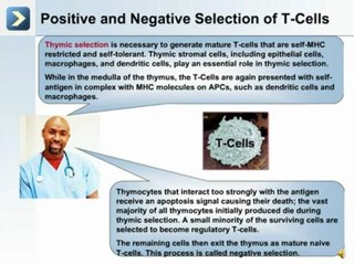 Immunity and The Lymphatic System - Part 2 of 2