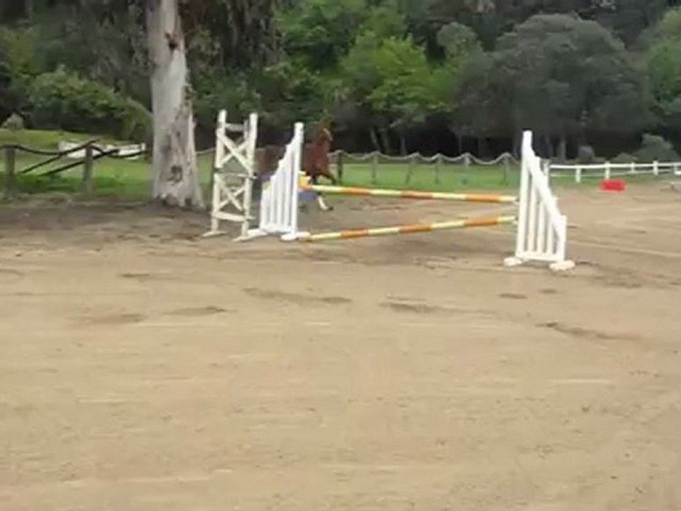 le lundi c'est permis