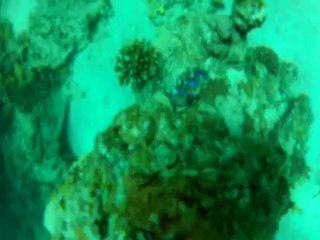 Piscine Sharm Abu Dabbab