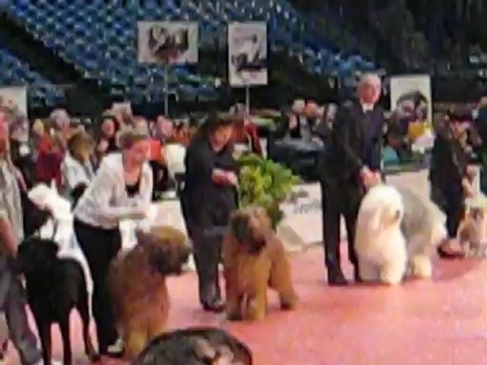 Trophée de la Méditerranée pour Eragon à l'expo internationale de Nice le 30 avril 2012