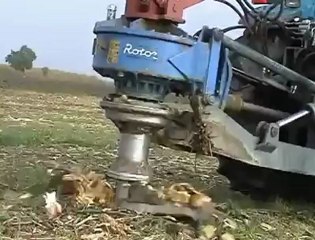 Ağaç kökü temizleme makinası