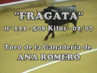 Fragata, de Ana Romero. Concurso Zaragoza 2012