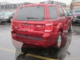 Used 2008 Ford Escape Columbus OH - by EveryCarListed.com