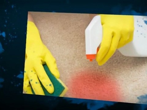 Expert Janitorial Maintenance Service - (810) 250-9002