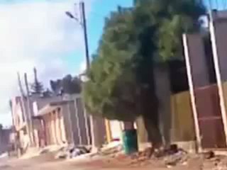 فري برس درعا بصر الحرير مسرب الأمن والشبيح في المدينة ج1 Daraa