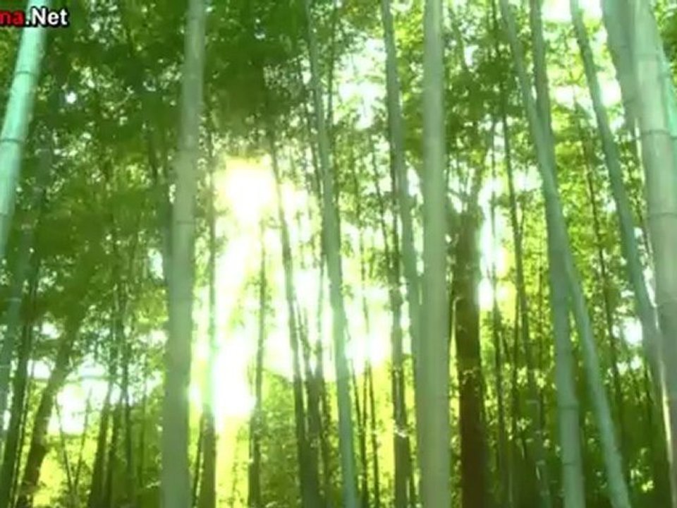 Moso Shimai - 07