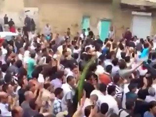 Anti and pro government rallies