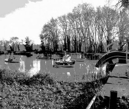 Chers tits yeux noirs