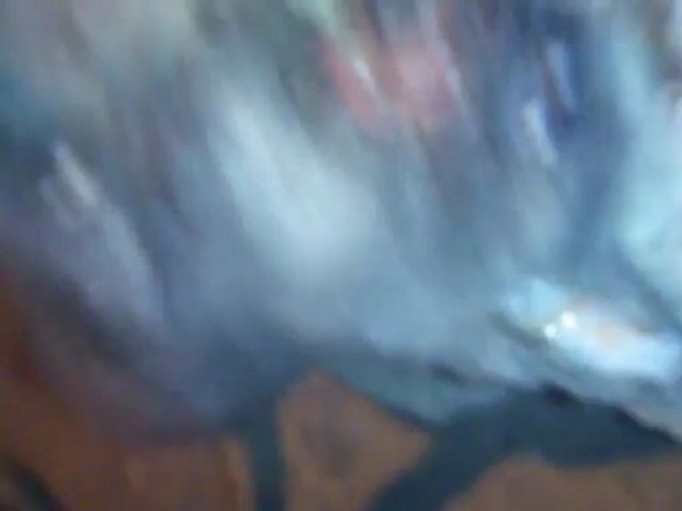 MOV_0276