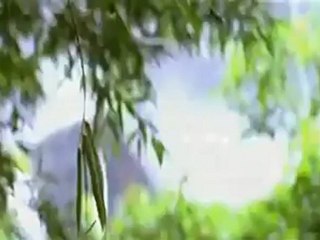 Pinakamano - Anandabhadram VO sous-titres français