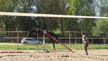 vite fait bienfait à l'obstacle Avril 2012