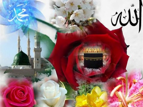 Bu Gidiş Nereye Müslüman Nereye..?